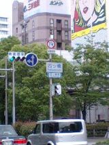 25339-3.jpg