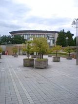25348-3.jpg