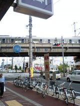 25351-1.jpg