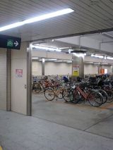 25351-3.jpg