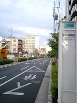 25362-3.jpg