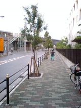 25363-2.jpg