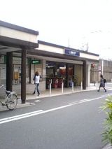 25389.jpg