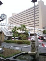 25390-2.jpg
