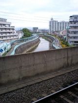 25394-1.jpg