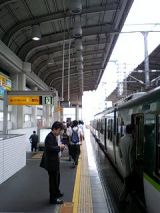 25395.jpg
