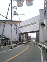 25397-1.jpg