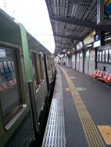 25397.jpg