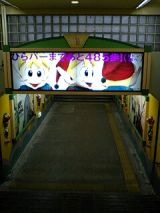 25398-2.jpg