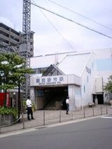 25405-1.jpg