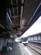 25409.jpg