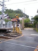 25413-2.jpg