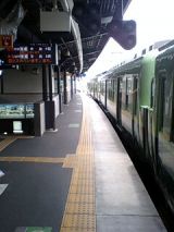 25416-3.jpg