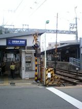 25419-1.jpg
