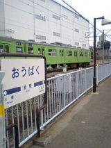 25420.jpg