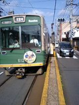 25445.jpg