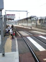 25446-1.jpg