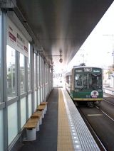 25446.jpg