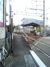 25447.jpg