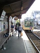 25449.jpg