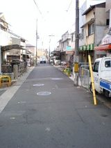 25451-1.jpg