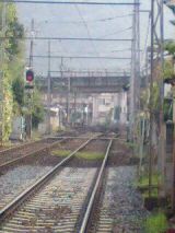 25452-1.jpg