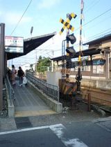 25452-2.jpg