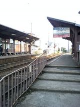 25456-1.jpg