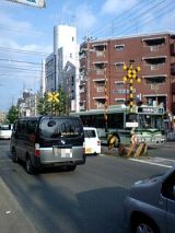 25456-2.jpg