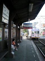 25456.jpg