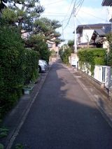 25457.jpg