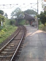 25459-2.jpg