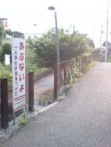 25459-3.jpg