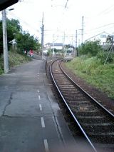 25459.jpg