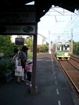 25460.jpg