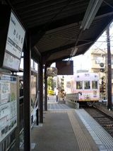 25461.jpg