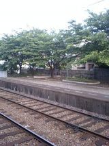 25462-1.jpg