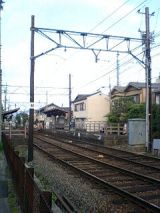 25463.jpg