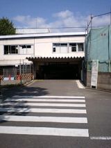 25475-1.jpg