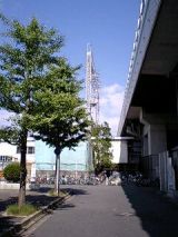 25475-2.jpg