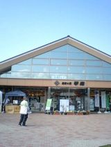 25478-1.jpg
