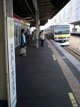 25489.jpg