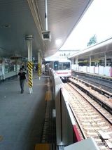 25498.jpg