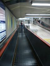 25499.jpg