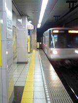 25505.jpg