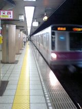25508-1.jpg