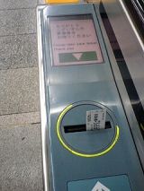 25509-1.jpg
