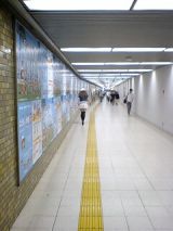 25509-2.jpg