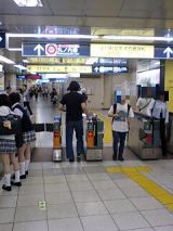 25516-1.jpg