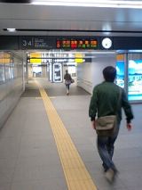 25545.jpg